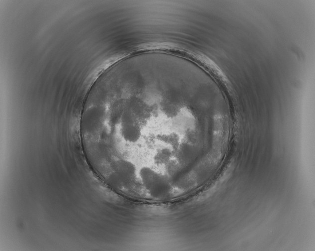 X0000113300937200910131044