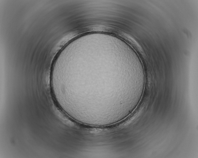 X0000113300938200910131044