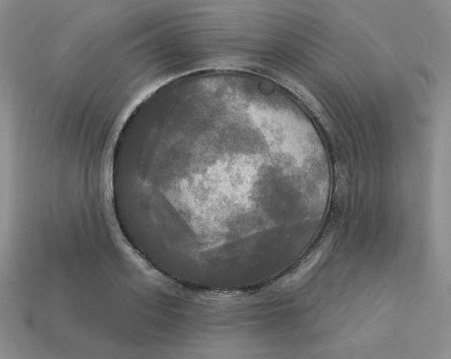 X0000113300939200910131044