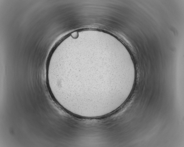 X0000113300940200910131044