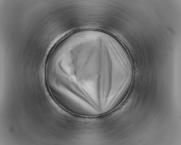 X0000113300941200910131044