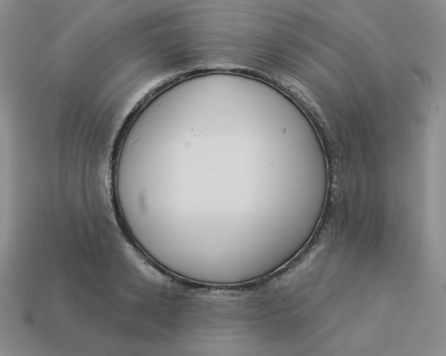 X0000113300942200910131044
