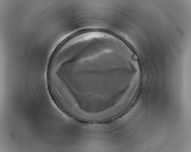 X0000113300943200910131044