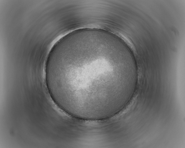 X0000113300944200910131044