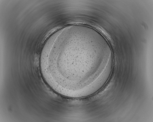 X0000113300945200910131044