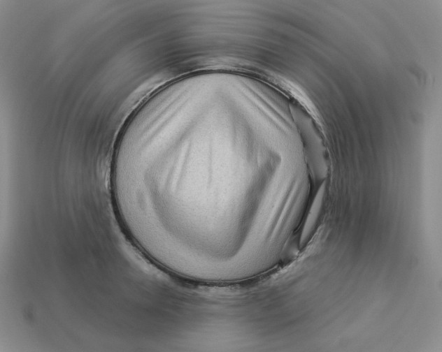X0000113300946200910131044