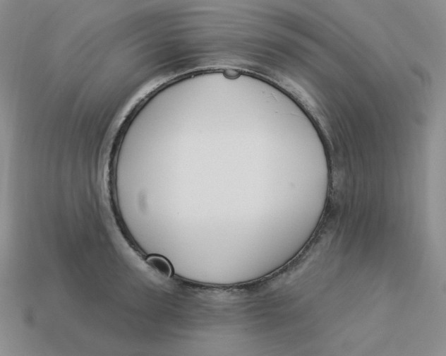 X0000113300947200910131044