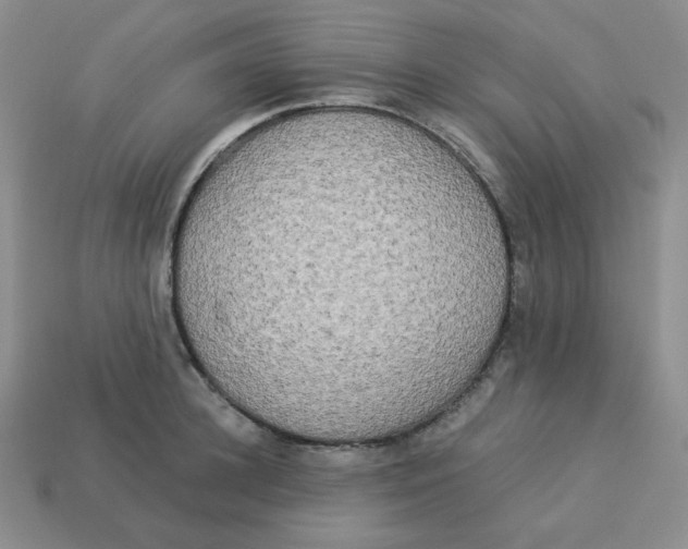 X0000113300948200910131044