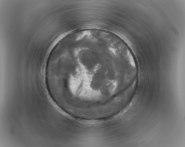 X0000113300949200910131044