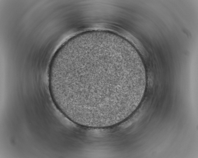X0000113300950200910131044