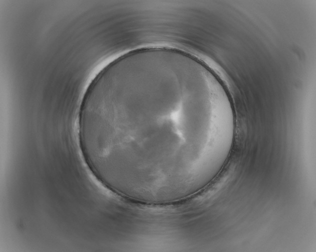 X0000113300951200910131044