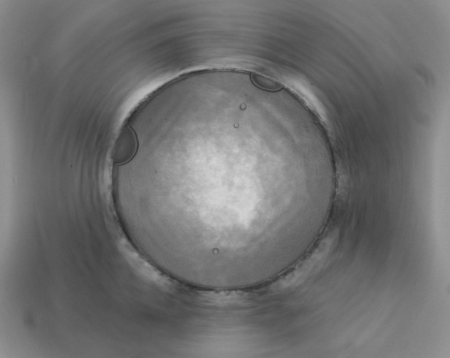 X0000113300952200910131044