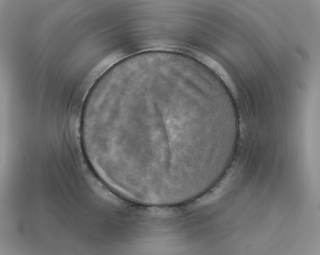 X0000113300954200910131044