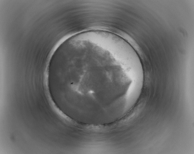X0000113300955200910131044