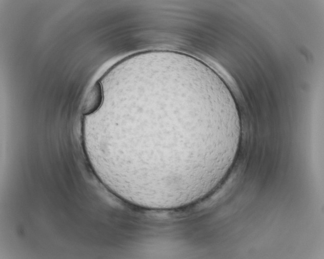 X0000113300956200910131044