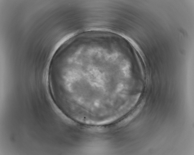 X0000113300957200910131044