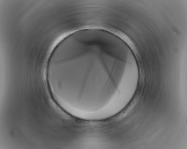 X0000113300958200910131044