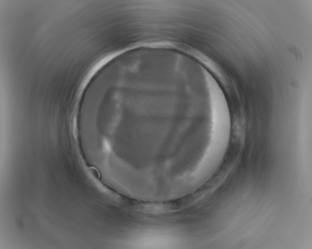 X0000113300959200910131044