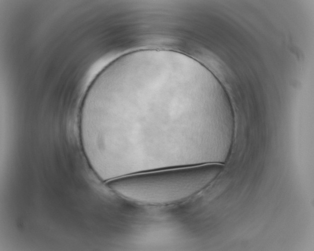 X0000113300960200910131044