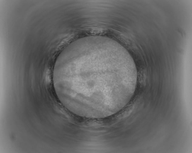X0000113300962200910131044