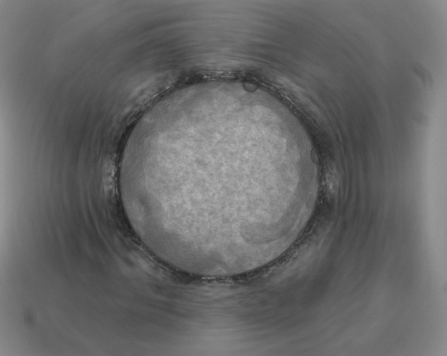 X0000113300964200910131044