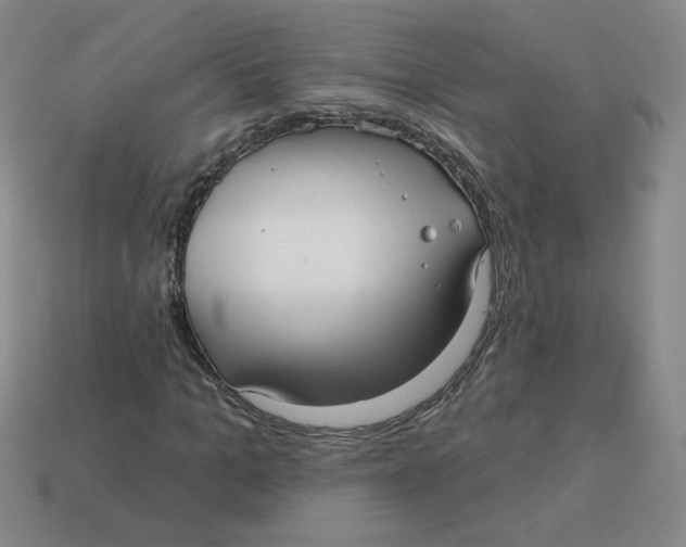 X0000113300965200910131044