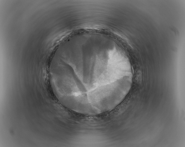 X0000113300966200910131044