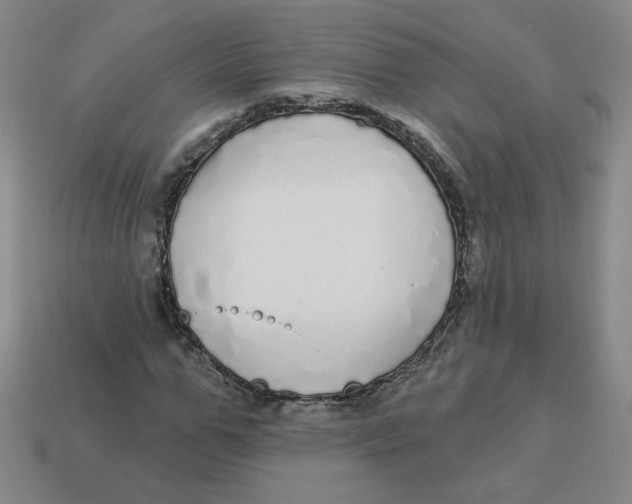 X0000113300967200910131044