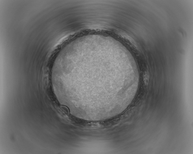 X0000113300968200910131044