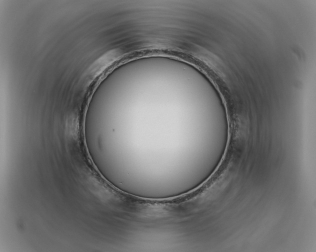 X0000113300969200910131044