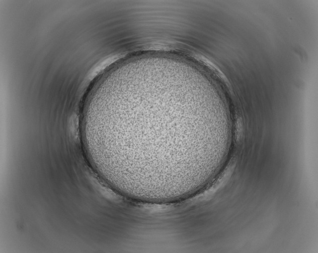 X0000113300970200910131044