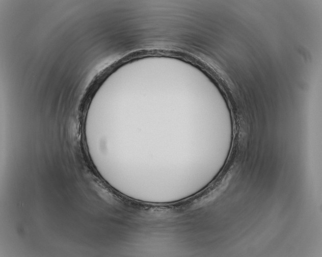 X0000113300974200910131044