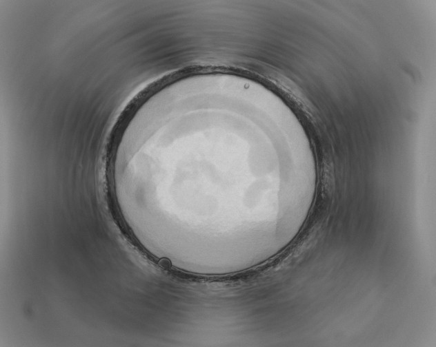 X0000113300976200910131044