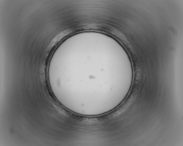 X0000113300978200910131044