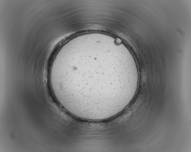 X0000113300979200910131044