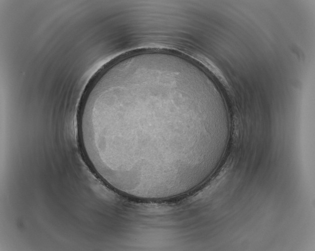 X0000113300980200910131044