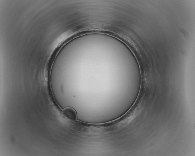 X0000113300981200910131044