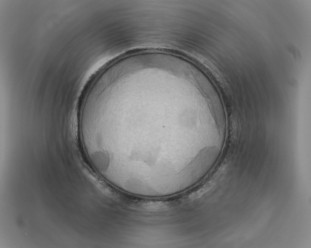 X0000113300982200910131044