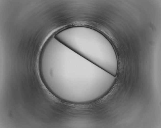 X0000113300984200910131043