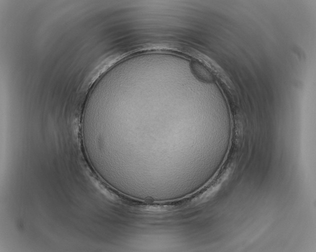 X0000113300985200910131043