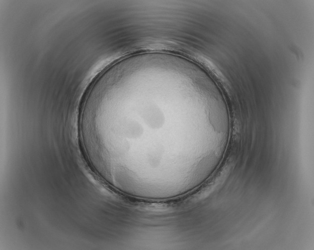 X0000113300986200910131043
