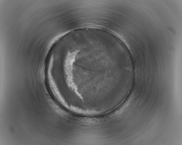 X0000113300987200910131043