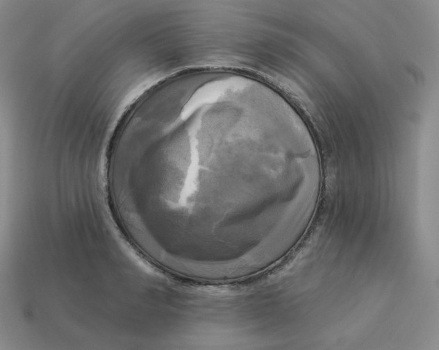 X0000113300990200910131043