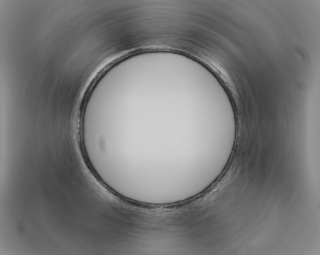 X0000113300992200910131043