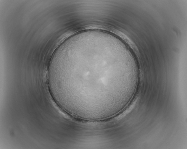 X0000113300993200910131043
