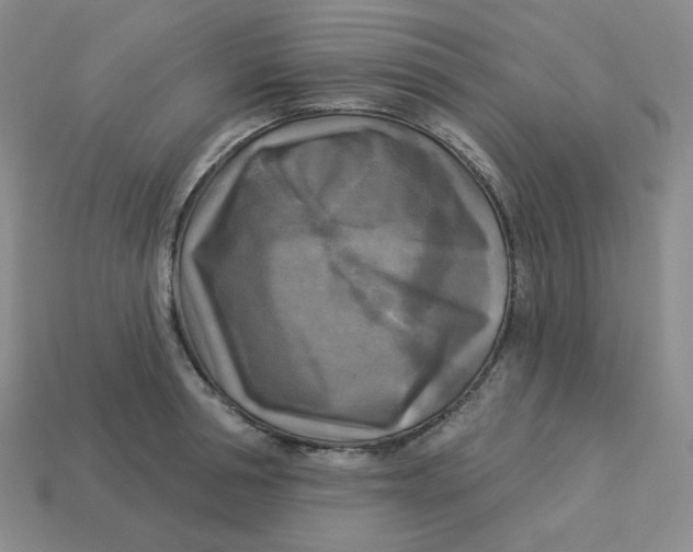 X0000113300994200910131043