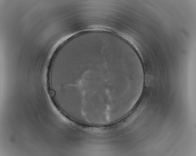 X0000113300995200910131043