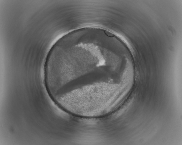 X0000113300999200910131043