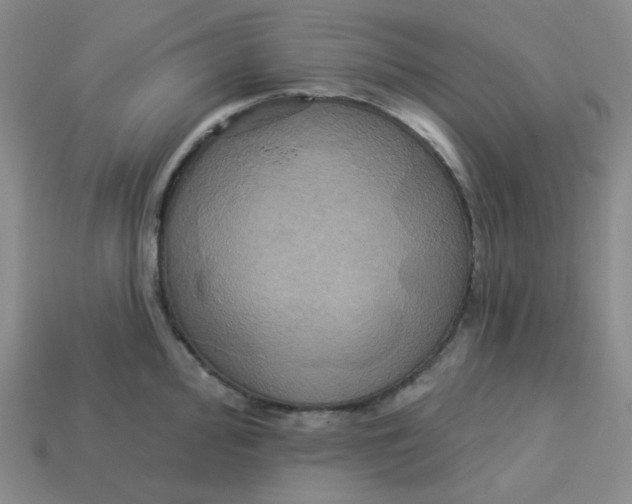 X0000113301000200910131043