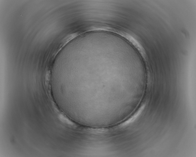 X0000113301001200910131043
